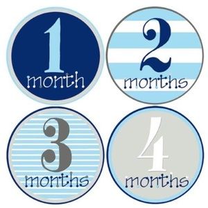 Mumsy Goose 12 monthly sticker set
